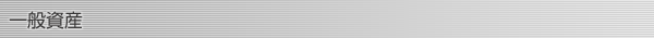 一般資産