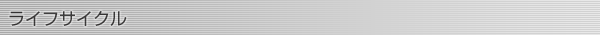 ライフサイクル