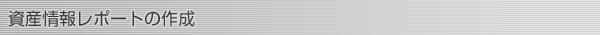 資産情報レポートの作成