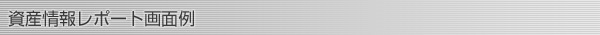 資産情報レポート画面例